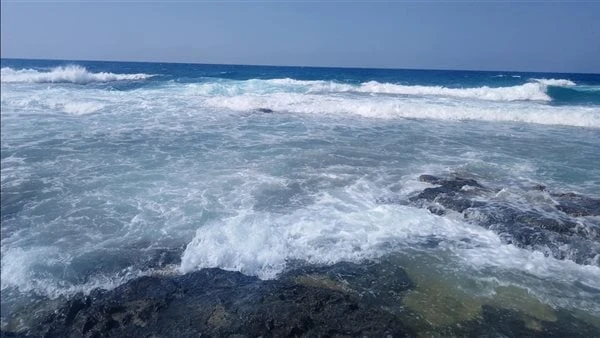 مركز المناخ يحذر من ارتفاع الأمواج فى 4 شواطئ اليومحذر الدكتور محمد على فهيم، رئيس مركز معلومات تغير المناخ، من الفترات ما بين موجات الحرارة، حيث