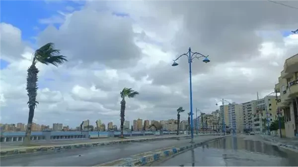 الخريف يدق الأبواب.. مناوشات الأمطار تبدأ على محافظات الساحل وانكسار لدرجات الحرارةأيام قليلة تفصلنا عن فصل الخريف ونودع معها فصل الصيف بموجاته