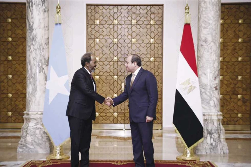 رئيس الصومال يبدأ زيارة رسمية لمصر اليوم ويلتقي الرئيس السيسي أعلن السفير على عبدي أواري، سفير جمهورية الصومال الفيدرالية لدى مصر والمندوب الدائم لدى جامعة الدول العربية، أن حسن شي