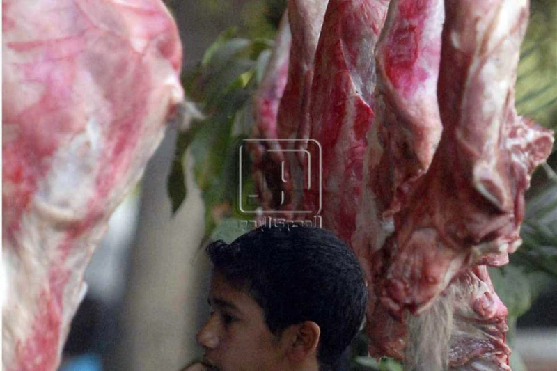 رغم ركود المبيعات.. شعبة القصابين تكشف حقيقة ارتفاع أسعار اللحوم (فيديو) كشف هيثم عبدالباسط رئيس شعبة القصابين باتحاد الغرف التجارية، حقيقة ارتفاع