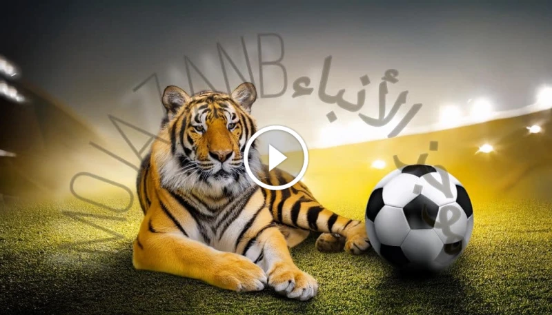 حجز تذاكر مباراة الاتحاد والتعاون دوري روشن 2024-2025 الجولة الثانية شراء تذاكر مباراة الاتحاد والتعاون يترقب عشاق كرة القدم في السعودية بشغف كبير