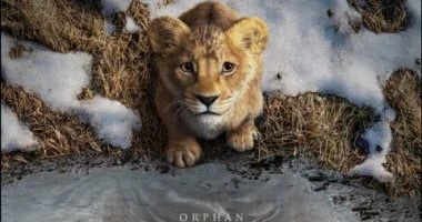 حضور ضخم للعرض الخاص لفيلم : .. فيديو تعرف على التالي حضور ضخم للعرض الخاص لفيلم : .. فيديو، كشف القائمون على فيلم الفنتازيا عن حضور جماهيري ضخم