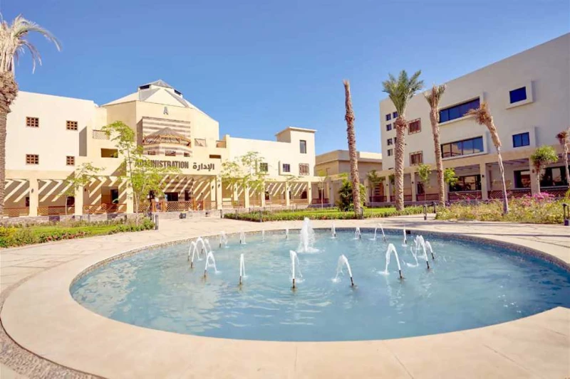 الطب ب138.600 جنيه.. مصروفات جامعة الملك سلمان الدولية الأهلية 2025 تزداد عمليات البحث عن مصروفات جامعة الملك سلمان الدولية الأهلية 2025 خلال الساعات