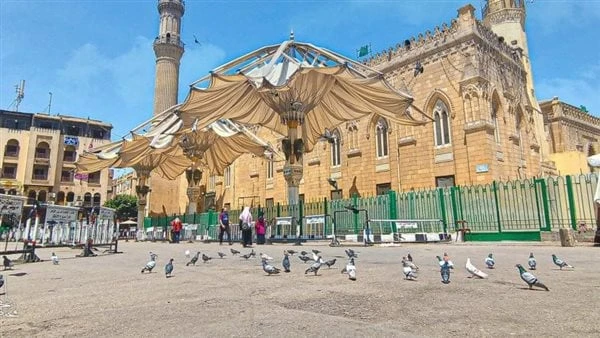 هل من الواجب حب جميع آل البيت وما فضله.. الإفتاء توضح هل من الواجب حب جميع آل البيت؟ سؤال أجابت عنه دار الإفتاء المصرية من خلال صفحتها الرسمية بموقع