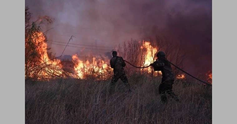 حريق غابات بات على بعد 14 كلم من أثينا.. ودخانه يخنق ضواحيها لايف ستايل شاهد المقال التالي من صحافة البحرين عن حريق غابات بات على بعد 14 كلم من أثينا