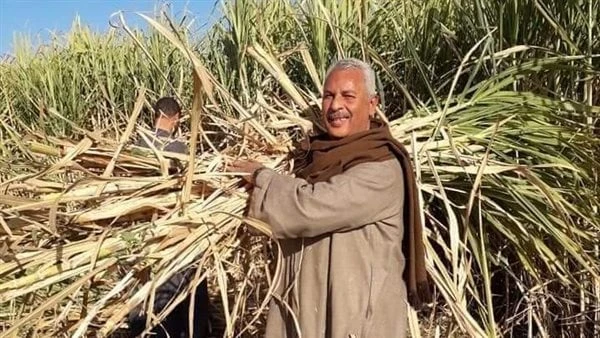 أول تعليق من الفلاحين بعد زيادة توريد قصب السكر والبنجررحب حسين عبدالرحمن أبوصدام الخبير الزراعي ونقيب عام الفلاحين بموافقة مجلس الوزراء على تحديد