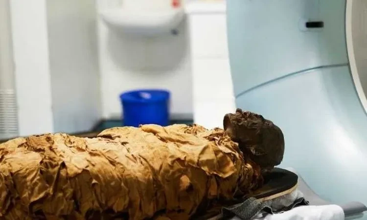 اكتشاف إمبراطورية خفية تضم 57 موقعا أثريا منوعات شاهد المقال التالي من صحافة مصر عن اكتشاف إمبراطورية خفية تضم 57 موقعا أثريا، اكتشافات أثرية جديدة في وادي نهر جواداليت في أحدث الت