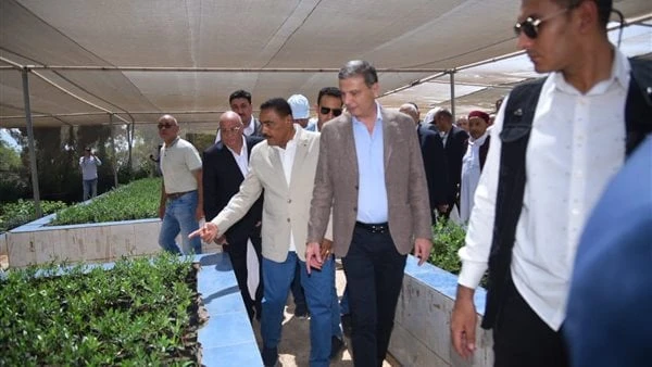 علاء فاروق: توزيع 50 ألف شتلة زيتون و120 كبشا على المزارعين بمطروحقام علاء فاروق وزير الزراعة واستصلاح واللواء خالد شعيب محافظ مطروح بتوزيع 50 ألف