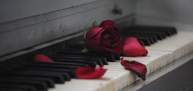 أحلى كلام حب 50 كيف اغازل حبيبي بالكلام؟أحلى كلام حب حيث ان الحب يعتبر من اجمل الشعور الإنساني الذي يمكن للإنسان أن يشعر به، حيث انه ببساطة الشعور