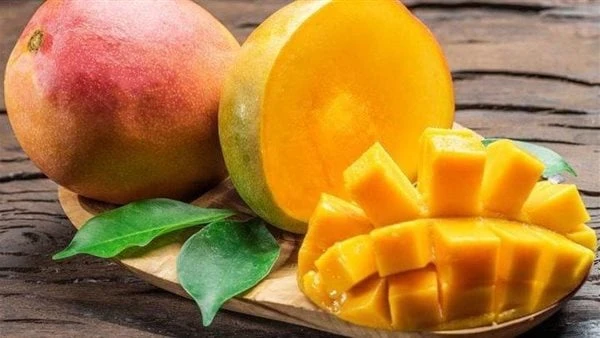 سعرها أرخص من البطاطس.. لماذا انخفضت أسعار المانجو بالأسواق هذا العام؟انخفضت أسعار المانجو بالأسواق مقارنة بالأعوام القادمة ، حيث وصل سعرها لأقل من