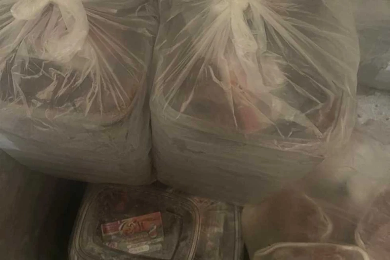 محافظ كفر الشيخ: ضبط 1195 كجم أسماك وكبدة مجهولة المصدر بعاصمة المحافظة أكد اللواء دكتور علاء عبدالمعطي محافظ كفرالشيخ، اليوم السبت، استمرار الحملات