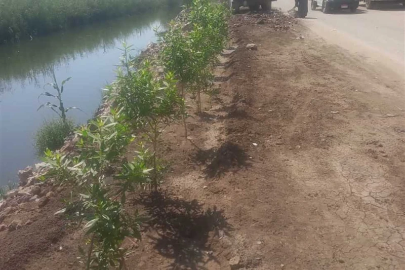 محافظ أسيوط: استمرار أعمال التطوير والتجميل بمركز أبنوب ضمن مبادرة بنكمل بعض أكد اللواء دكتور هشام أبوالنصر، محافظ أسيوط، على استمرار أعمال التطوير