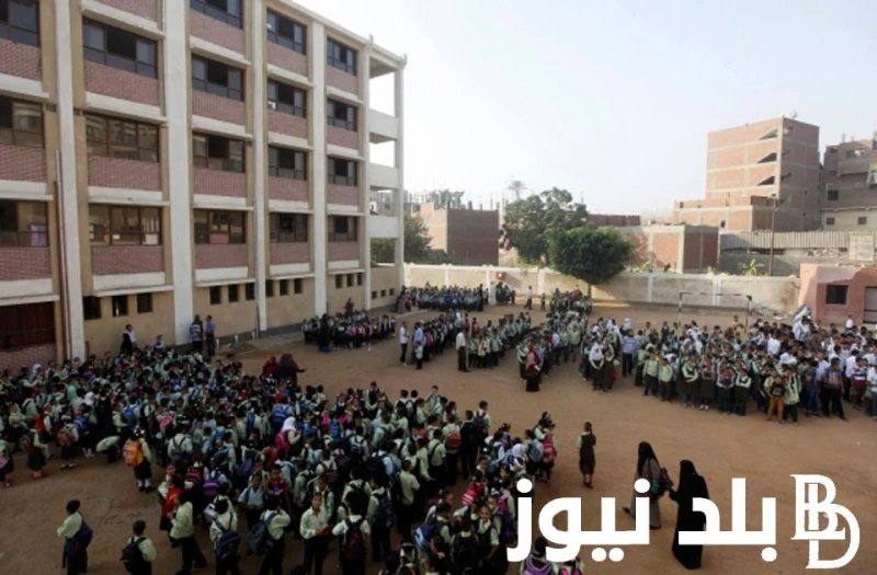 هتقبض بالحصة التعيين بالحصة في التربية والتعليم وما هي الشروط والأوراق المطلوب .() التعيين بالحصة في التربية والتعليم من الأسئلة التي وردت في الفترات