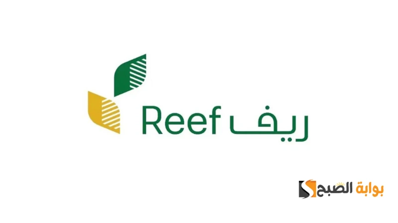 وزارة البيئة والمياه والزراعة تكشف عن موعد إيداع دعم ريف.. تفاصيل ومعلومات هامةأعلنت وزارة البيئة والمياه والزراعة عن موعد إيداع دعم ريف لشهر أغسطس