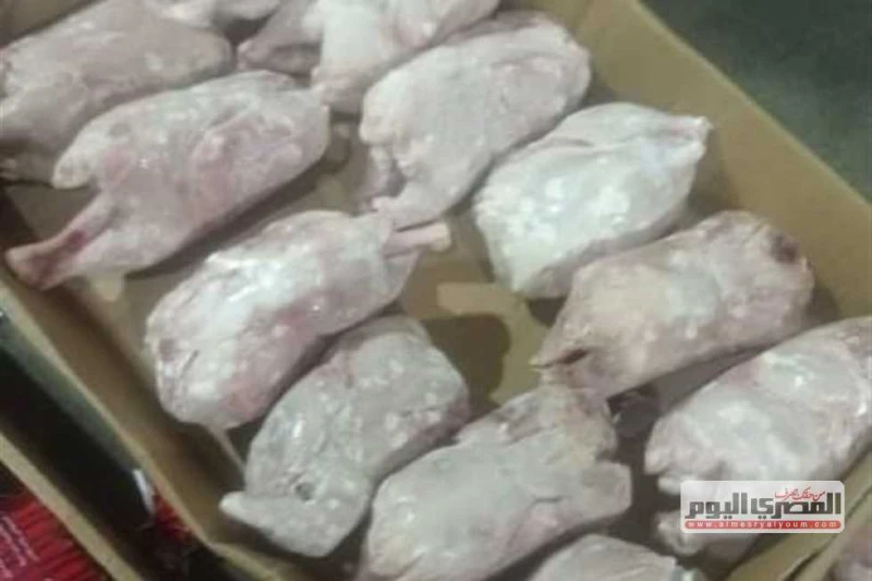 ضبط 4 أطنان دواجن غير صالحة للاستهلاك الآدمي في الشرقية كثفت الأجهزة الرقابية ب الشرقية اليوم الأحد، بالتنسيق مع مديرية الطب البيطري من الحملات