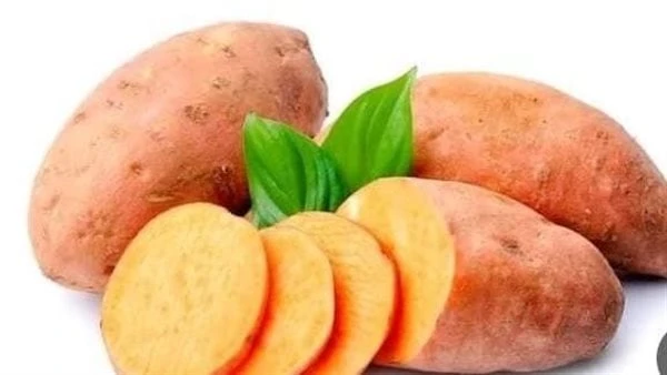 ماذا يحدث للأطفال عند تناول البطاطا الحلوة ؟تحتوي البطاطا الحلوة على العديد من المكونات الغذائية المهمة والمفيدة للصحة، بالتالي تناولها من شأنه أن