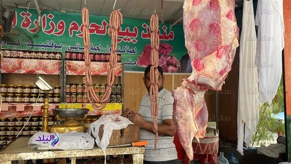 الزراعة تحطم الأسعار.. اللحوم البلدي ب260 والبانيه ب150 والأرز ب20 جنيها أكدت المهندسة منال إبراهيم المشرفة على منافذ وزارة الزراعة ، أن هناك توجيهات