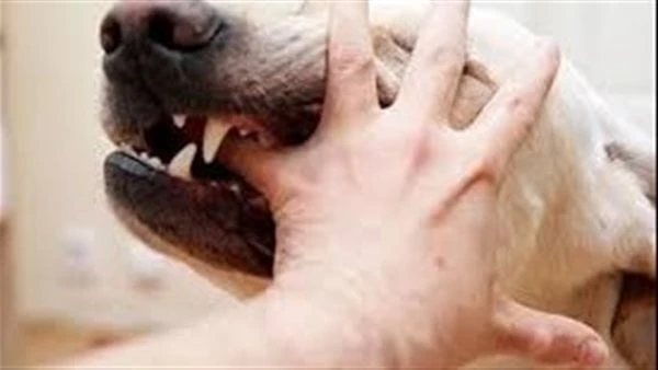 مصر خالية من السعار.. في إطار مبادرة الدولة للتنمية المستدامة 2030استقبلت الدكتورة سماح عيد مدير معهد بحوث الصحة الحيوانية وفدا من منظمة الأغذية