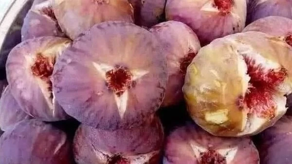 ماذا يحدث للجسم عند تناول التين البرشومي يومياهناك العديد من أنواع التين، والتين البرشومي يحتوي على العديد من الفوائد المميزة والمختلفة، كما يوفر