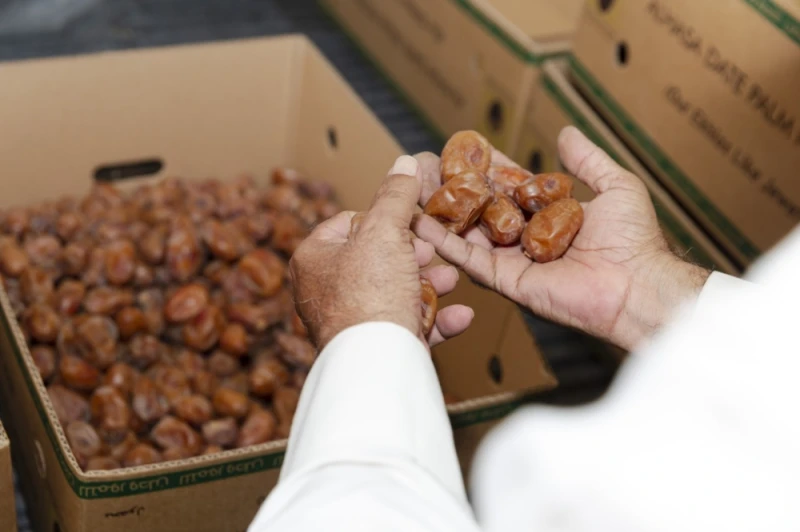 المملكة تنتج أجود الأنواع.. تعرف على القيمة الغذائية للتمور الحياة شاهد المقال التالي من صحافة السعودية عن المملكة تنتج أجود الأنواع تعرف على القيمة الغذائية للتمور، أكدت وزارة الب