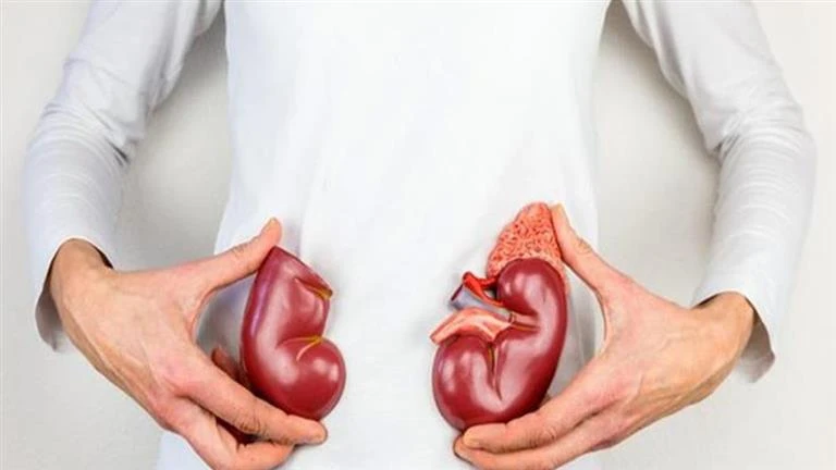 مشروب يمنع تكون حصوات الكلى ويساعد على النوم والاسترخاء لايف ستايل شاهد المقال التالي من صحافة مصر عن مشروب يمنع تكون حصوات الكلى ويساعد على النوم والاسترخاء، 09 02 م الخميس 08 أغس