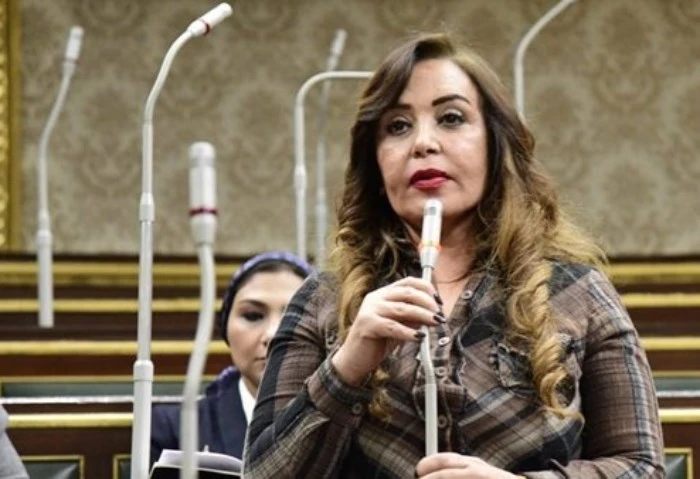 من حلم الهندسة للآداب النائبة جيهان البيومي تروي ذكرياتها مع الثانوية العامة (خاص) قالت النائبة جيهان البيومي، عضو لجنة التعليم والبحث العلمي ب مجلس