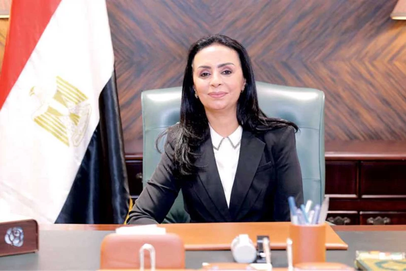 التضامن: التدخل السريع تعامل مع 903 بلاغات خلال شهرين تلقت الدكتورة مايا مرسى وزيرة التضامن الاجتماعى تقريرا عن جهود وتدخلات فريق التدخل السريع خلال