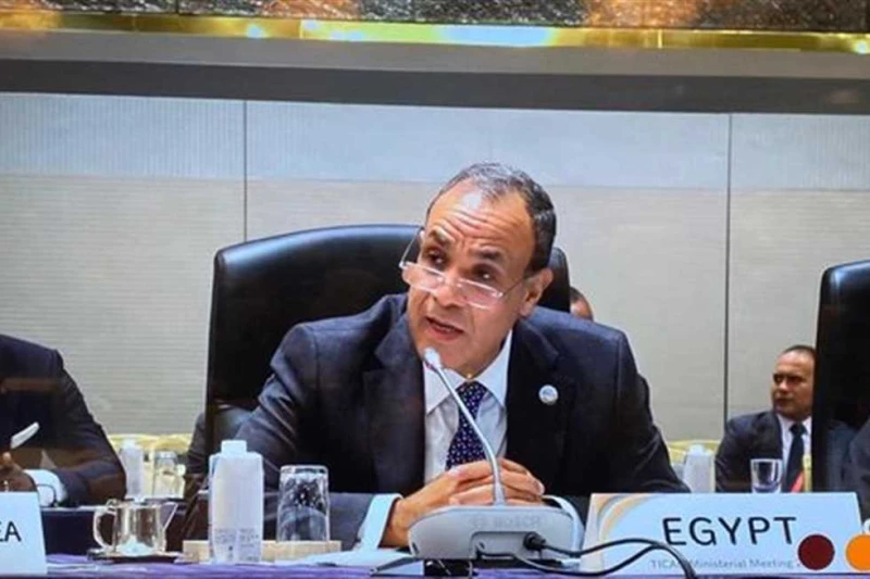 وزير الخارجية يشارك في افتتاح مؤتمر التيكاد بطوكيو شارك الدكتور بدر عبدالعاطي وزير الخارجية والهجرة وشؤون المصريين بالخارج، في الجلسة الافتتاحية