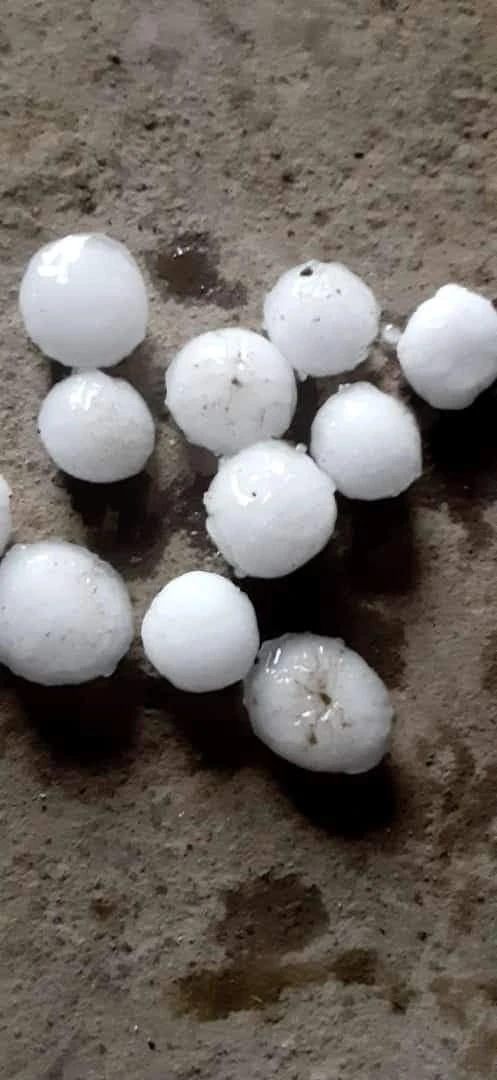 اب: حبات برد كبيرة تضرب الرضمة .. شاهد حجمها وكيف بدت المنطقة! _محليات محليات، اب حبات برد كبيرة تضرب الرضمة شاهد حجمها وكيف بدت المنطقة!،ضربت عاصفة رعدية ضخمة اليوم منطقة الرضمة ب