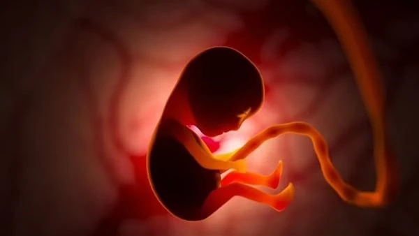 الحقي ابنك .. الأعراض المبكرة لتسمم الحمليعد تسمم الحمل من المشكلات الخطيرة التي تهدد الأم والجنين معا وإهمال علاجه يؤدي إلى مضاعفات خطيرة قد تصل إلى