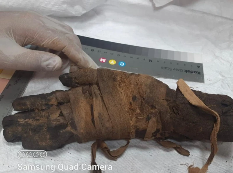 رأس مومياءوتمثال أوشابتي.. الأعلى للآثار توضح تفاصيل استرداد القطع الأثرية من هولندا القطع الأثرية المستردةقال الأمين العام للمجلس الأعلى للآثار