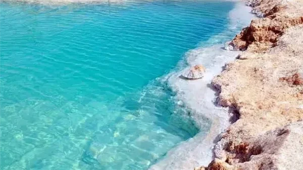 حافظ: إطلاق منصة للسياحة العلاجية يعزز الوصول إلى 30 مليون سائح سنوياقال الدكتور هاني حافظ شريف رئيس شعبة مراكز الأشعة بغرفة مقدمي خدمات الرعاية الصحية باتحاد الصناعات المصرية، إن 