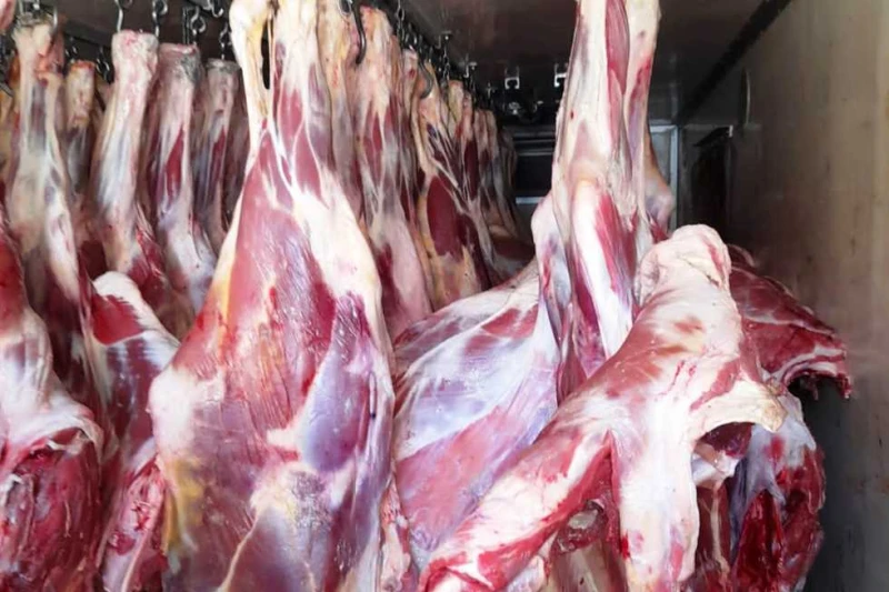 التنسيق مع التموين لزيادة حصة أسوان من اللحوم والدواجن بأسعار مخفضة أكد اللواء دكتور إسماعيل كمال، محافظ أسوان، على أنه في ظل التنسيق المتواصل مع الدكتور شريف فاروق، وزير التموين و