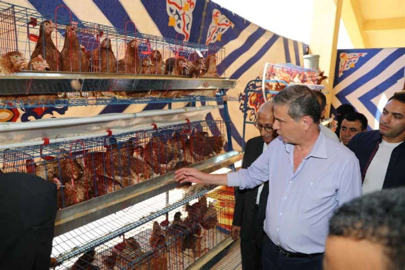 الزراعة: إصدار 1377 ترخيصا لمشروعات الثروة الحيوانية والداجنة والعلفية في شهر أعلنت وزارة الزراعة واستصلاح الأراضي، حزمة من التيسيرات المتعلقة