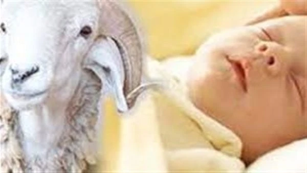 أفضل طريقة لتقسيم العقيقة وحكم تأخيرها لسنوات.. علي جمعة يوضحقال الدكتور علي جمعة، مفتي الجمهورية السابق، إن العقيقة تقسم على ثلاثة أجزاء، الثلث