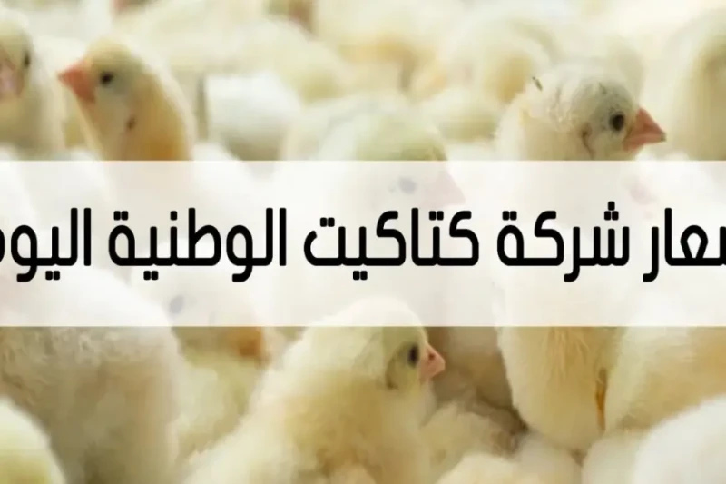 عايز تعرف بكم الكتكوت النهارده؟.. شوف سعر كتكوت الفراخ الوطنية اليوم الاثنين 12 أغسطس 2024 في ظل الارتفاع المستمر في أسعار الفراخ البيضاء، أصبح البحث