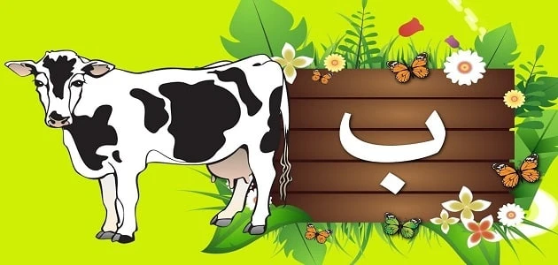 حيوان بحرف الباء ب أسماء الحيوانات حول العالميتساءل العديد من الأشخاص حول إن كان هناك حيوانات تبدأ بحرف الباء أم لا، معظم هؤلاء الأشخاص يتساءلون حول