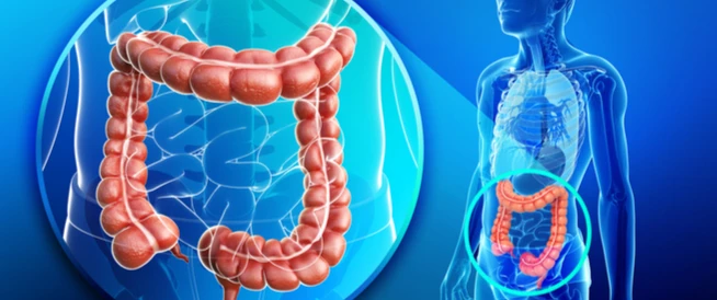 كيف أنظف القولون والامعاء من السموم والغازات والبراز المتحجرهناك العديد من الأشخاص يعانون من مشاكل في عمليتي الهضم والإخراج، من ضمنها تحجر البراز وانتفاخ القولون بالغازات وصعوبة ال