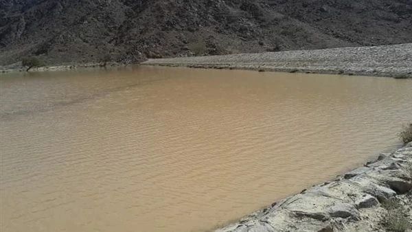 هل تزيد أمطار أسوان والسودان من حصة مصر المائية؟.. خبير يكشف مفاجأةأعادت الأمطار الغزيرة التي اجتاحت جنوب مصر مؤخرا التساؤلات حول تأثيرها على إيراد نهر النيل وعلى سد النهضة وبالتال