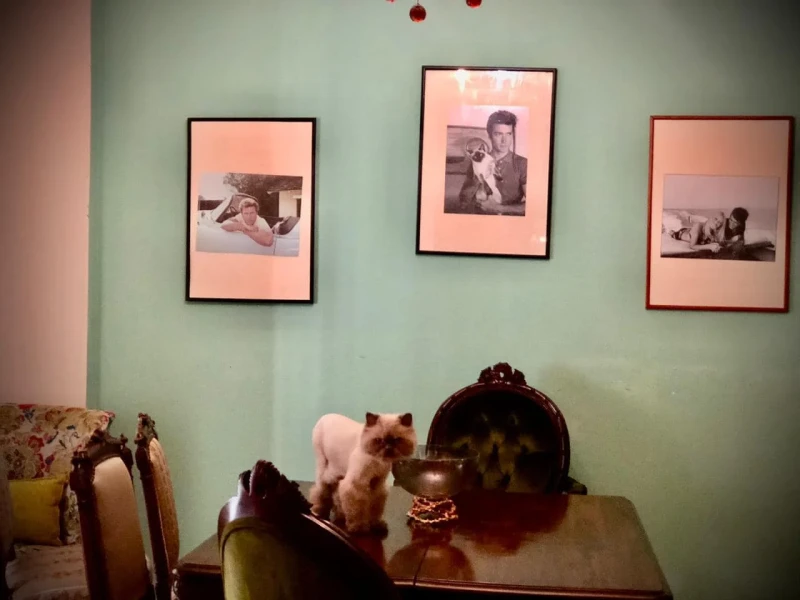 عيشوا للقبح.. عمركم ما تشوفوا أو تحسوا بجمال الماضيكتبت الكاتبة لينا هويان الحسن، هذا المنشور عبر صفحتها على موقع التواصل الاجتماعي واللي بيوضح جمال الماضي واللي مستحيل اللي عايشين