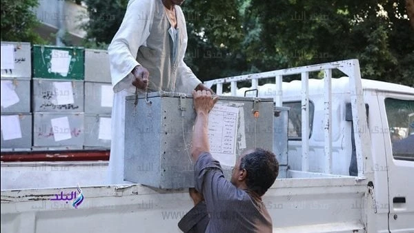 الدور الثاني.. التعليم تتابع وصول أسئلة اللغة الأجنبية الأولى للجان الثانوية العامة تتابع غرفة العمليات المركزية بوزارة التربية والتعليم والتعليم