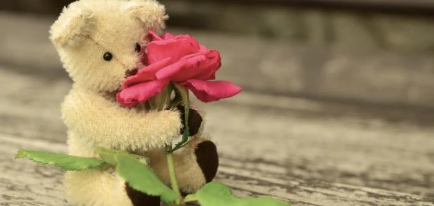 كلمات عن الإخلاص 2025 عبارات جميلة تصف الإخلاصكلمات عن الإخلاص، حيث أن الإخلاص يعني تقدير المرء لغيره في الحب والعمل والعطاء بلا انتظار مقابل، برغم