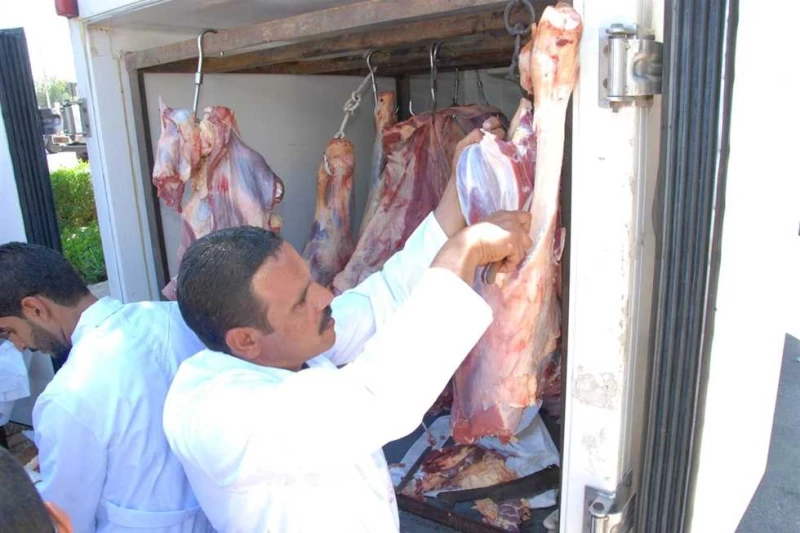 لالخدمة الوطنية.. وصول 2000 رأس عجول حية لميناء سفاجا أعلن المركز الإعلامي لهيئة موانئ البحر الأحمر، استقبال ميناء سفاجا البحري السفينة وعلى متنها 2000 رأس عجول حية قادمة من جيبوتي