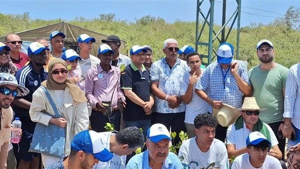 نقيب الزراعيين: تدهور غابات المانجروف بسواحل البحر الأحمر ونطالب بتدخل حكومي لإنقاذهاشارك اليوم 150 شاب وفتاة من شباب الدول العربية والإفريقية في الحملة التي ينظمها الإتحاد العربي