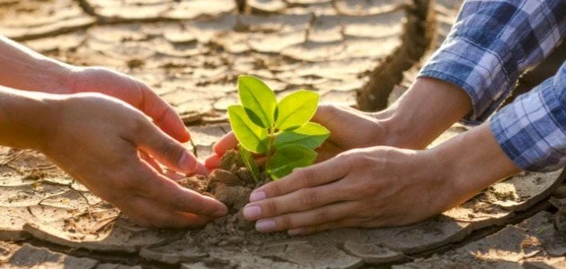 كلمات في عمل الخير.. أجمل العبارات التي قيلت في حب عمل الخيرأجمل كلمات في عمل الخير، تبرز أهمية وقيمة هذا العمل، فهو من الأخلاق الحميدة، ومن الأعمال السامية التي قد يقوم بها الإنسا