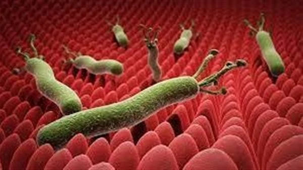 جرثومة المعدة.. الأعراض والعلاج تحدث جرثومة المعدة عندما تصيب بكتيريا الملوية البوابية معدتك، ويحدث هذا عادة خلال مرحلة الطفولة، وهي سبب شائع لقرحة المعدة (القرحة الهضمية)، وتكون ج