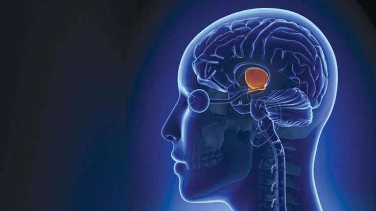 مفعولها سحري.. أطعمة تحسن عمل الدماغ لايف ستايل شاهد المقال التالي من صحافة مصر عن مفعولها سحري أطعمة تحسن عمل الدماغ، مفعولها سحري أطعمة تحسن عمل