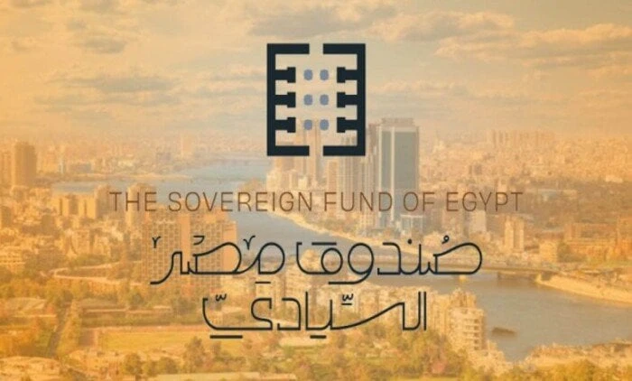 تكليف نهى رشدي قائما بأعمال المدير التنفيذي لصندوق مصر السيادي للاستثمار والتنميةقرر إدارة صندوق الصندوق مصر السيادي للاستثمار والتنمية برئاسة