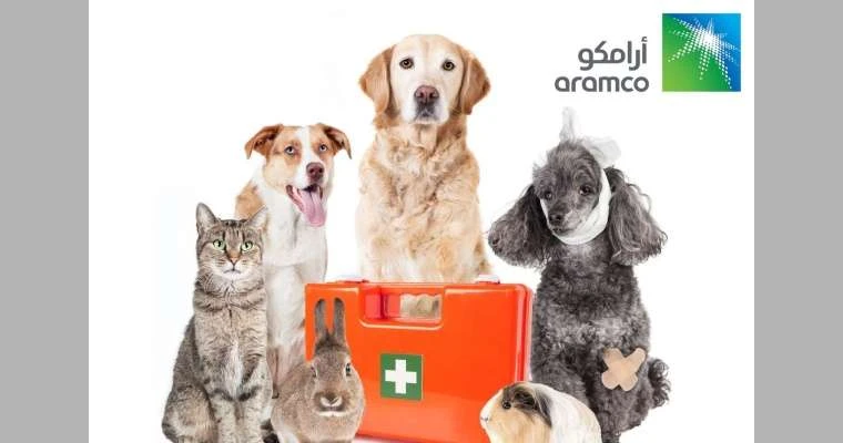 أرامكو السعودية تعلن إطلاق شركة ألفة غير الربحية لرعاية الحيوانات الضالة لايف ستايل لايف ستايل، أرامكو السعودية تعلن إطلاق شركة ألفة غير الربحية