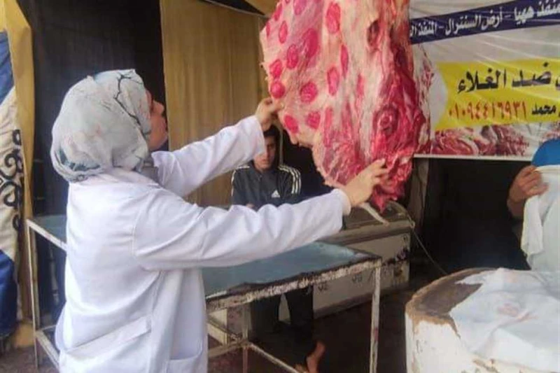 ضبط 5 أطنان لحوم ودواجن مجهولة المصدر و غير صالحة للاستخدام الآدمي ب الشرقية كثفت مديرية الطب البيطري ب الشرقية اليوم الأحد، بالتنسيق مع الجهات